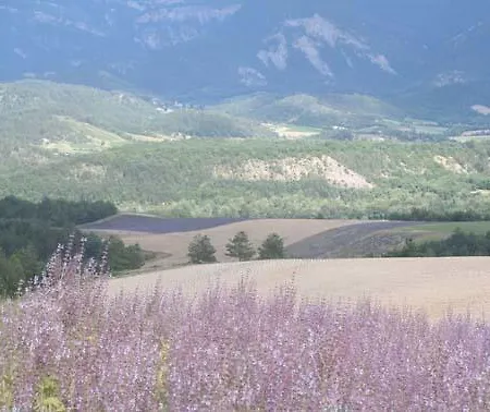 D'hotes La Romarine Affittacamere 3*