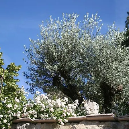 Guest house D'hotes La Romarine *