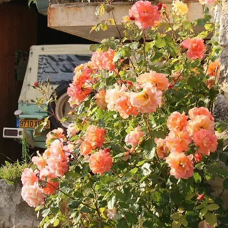 D'hotes La Romarine Guest house Barnave